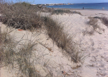 Imagen de Playa de las Higuericas