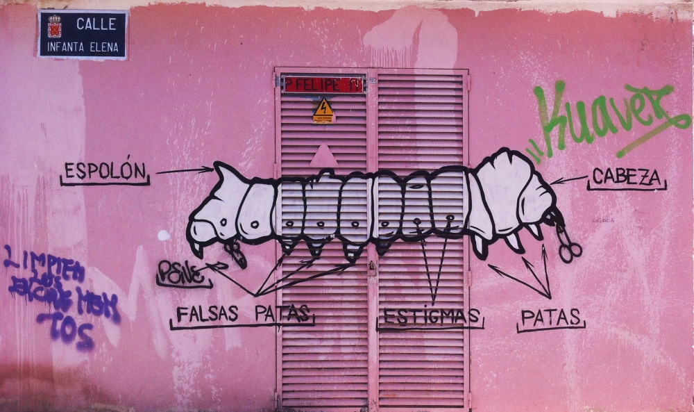 Imagen aleatoria