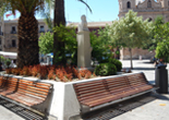 Imagen de Ricardo Codorniu Ap�stol del �rbol